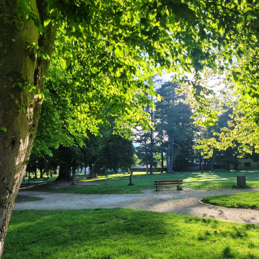 Elections municipales Faverges Seythenex 2026
